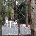 Casa En El Bosque