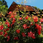 Casita de Madera