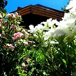 Casita de Madera