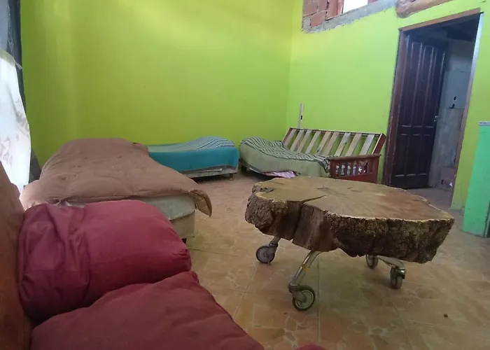 Camas Para Descansar En El Centro