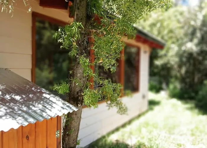 La Casa Rosa Del Bosque