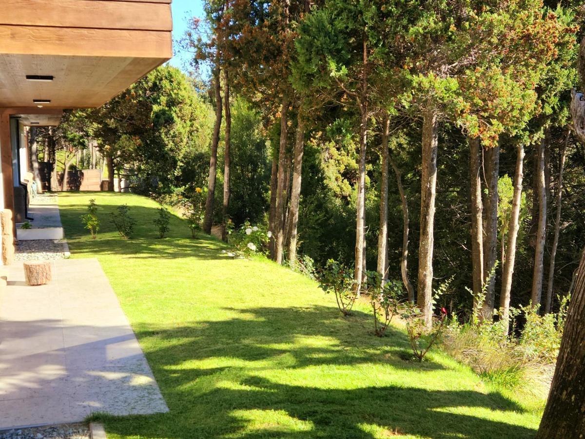 Departamento - Vista Y Bosque - Apartamento San Carlos de Bariloche
