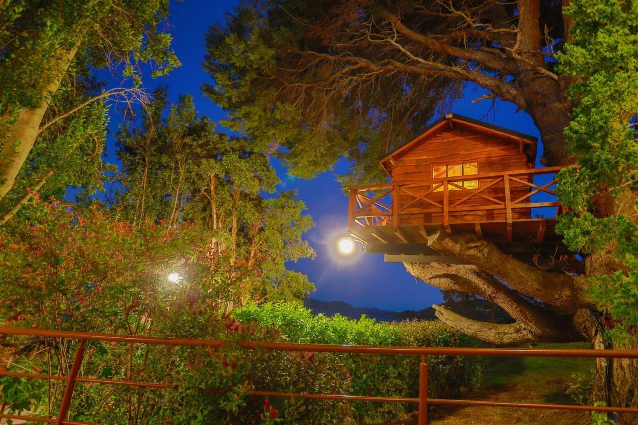 Costa Brava Apart Aparthotel