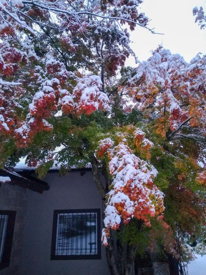 Torcazas * San Carlos de Bariloche
