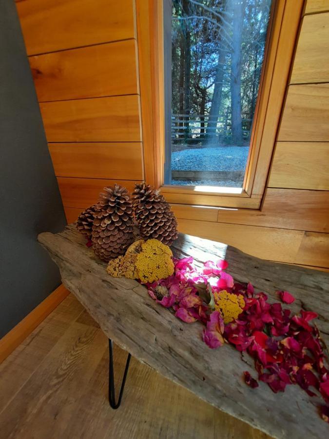 Orn, Chill Out By A.m.a San Carlos de Bariloche
