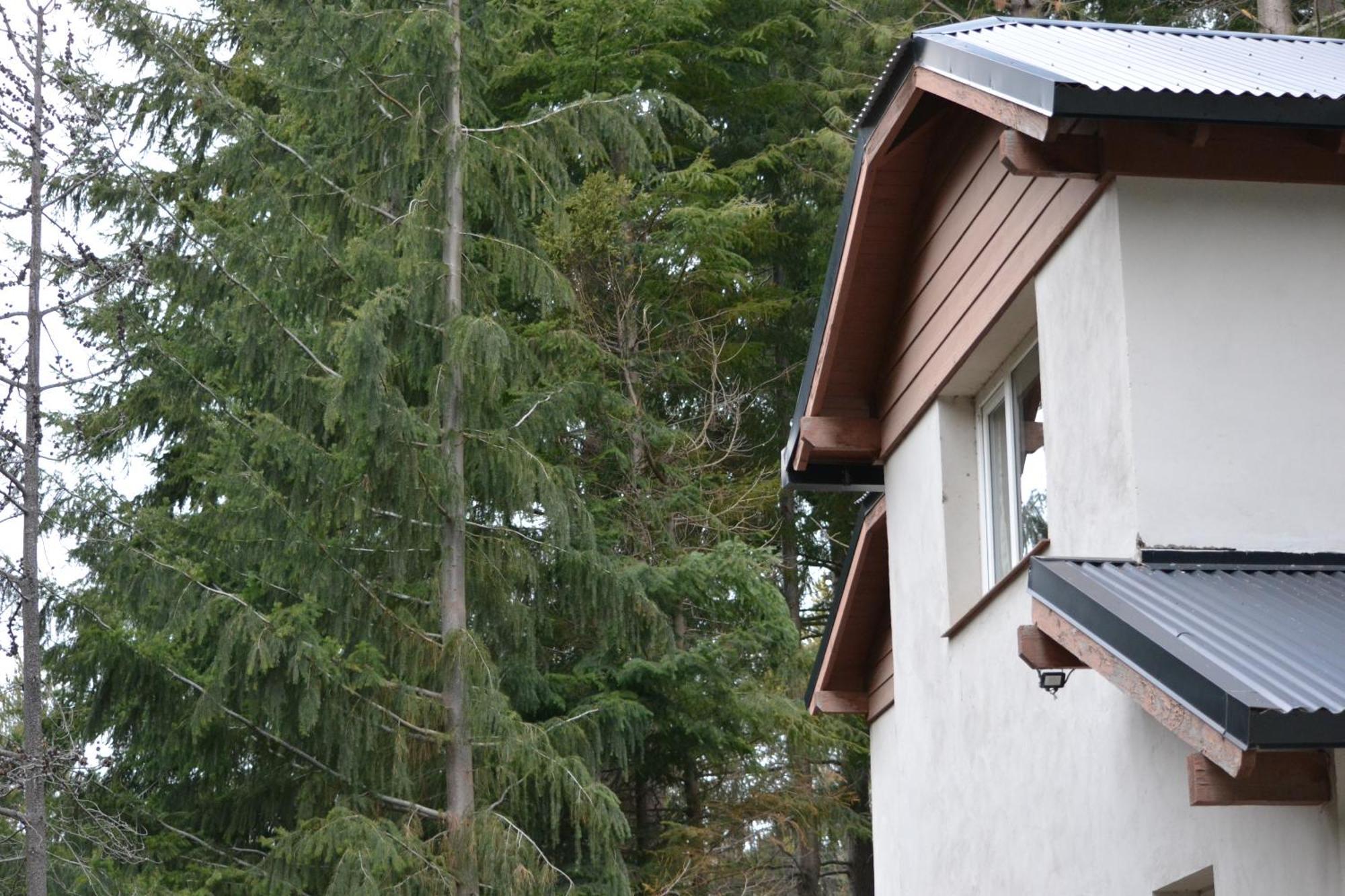 Amplia Casa En Bosque Llao Llao Holiday home San Carlos de Bariloche