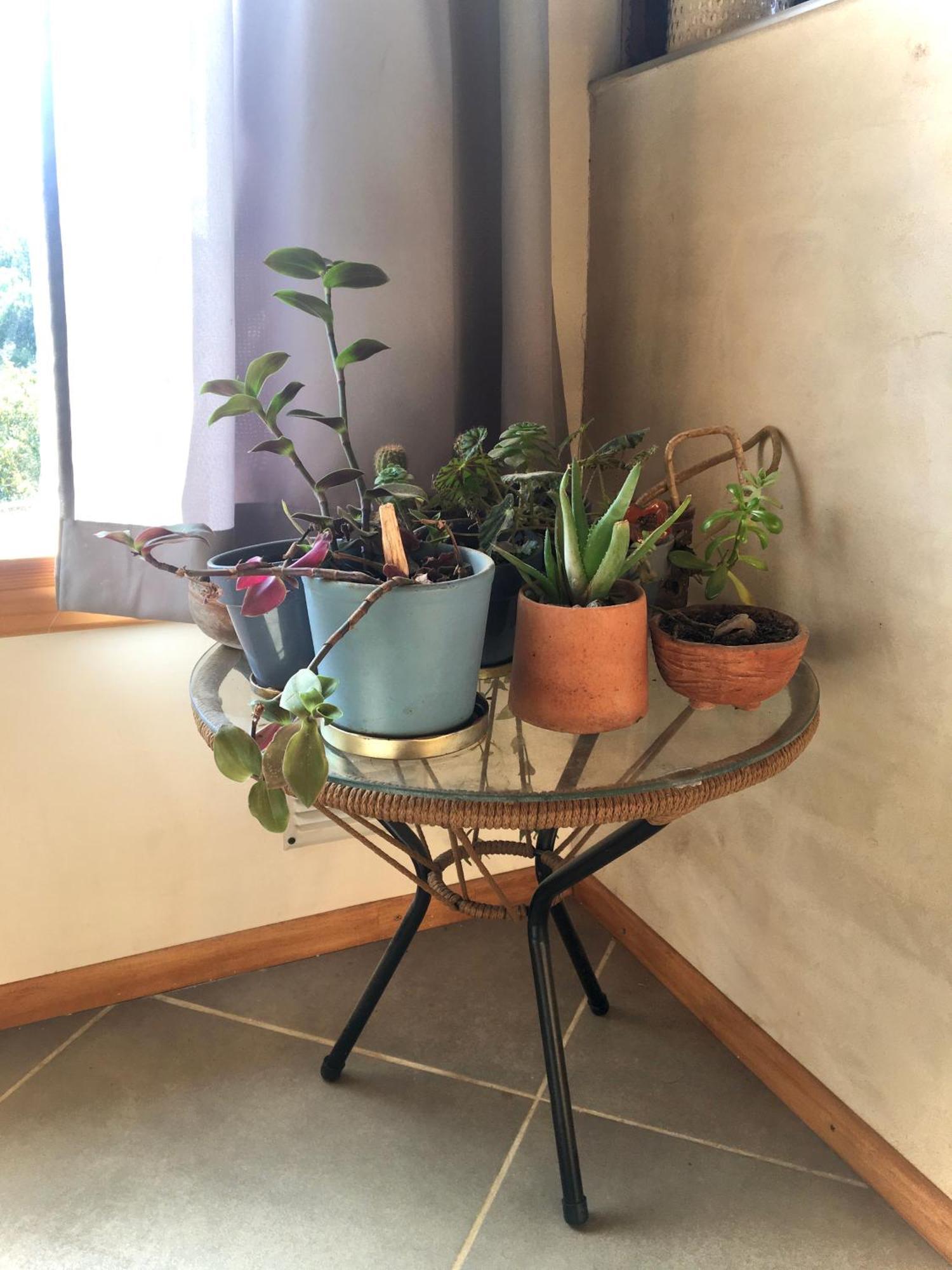 Casa Luminosa Y Confortable Rodeada De Naturaleza *