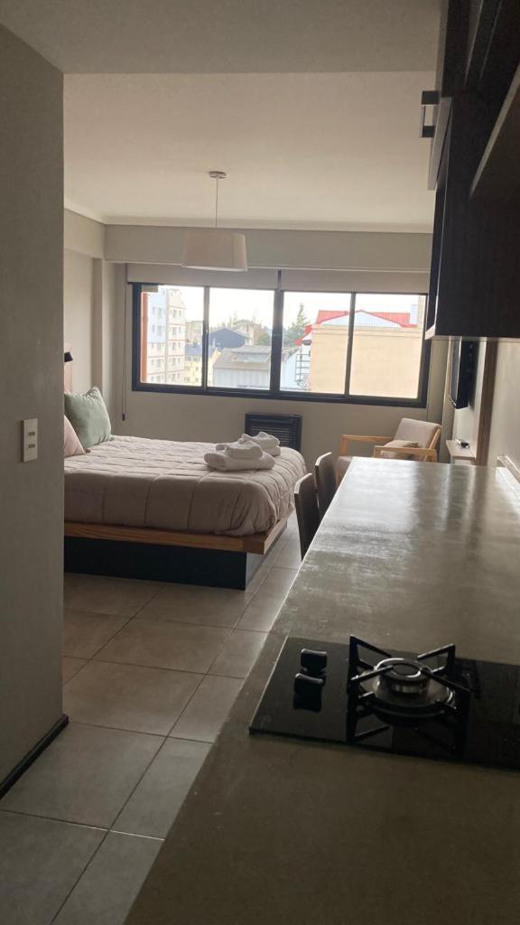 Apartamento Cálido Departamento En El Centro De Bariloche