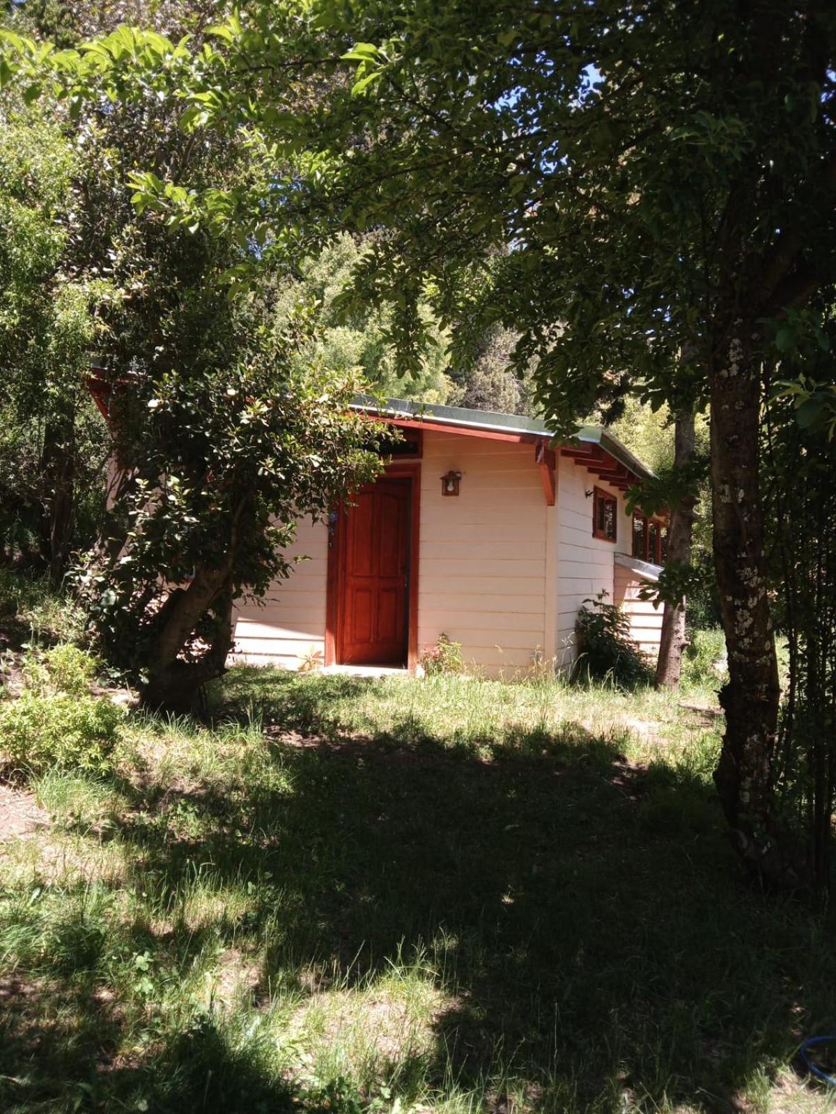 La Casa Rosa Del Bosque *