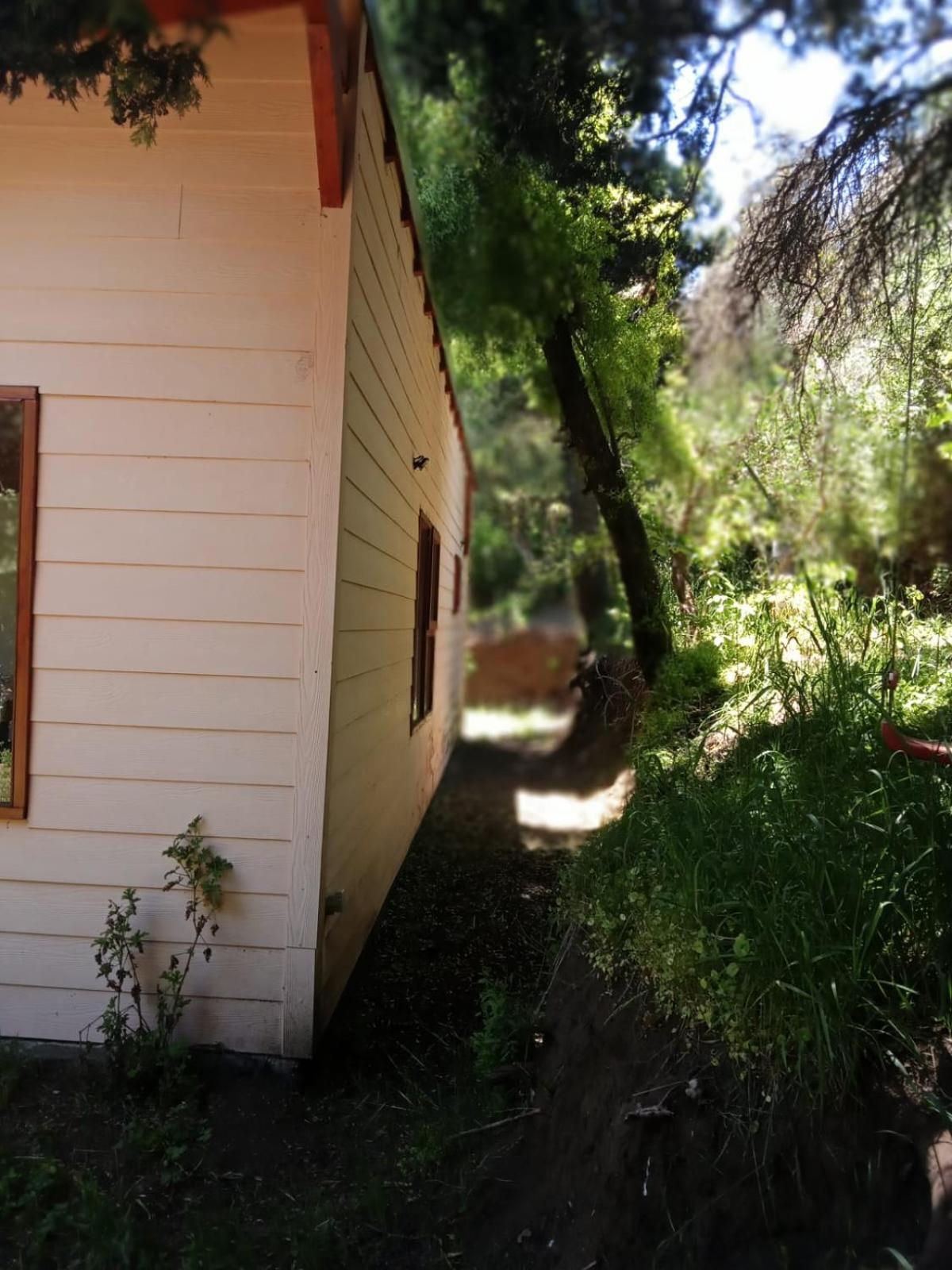 La Casa Rosa Del Bosque