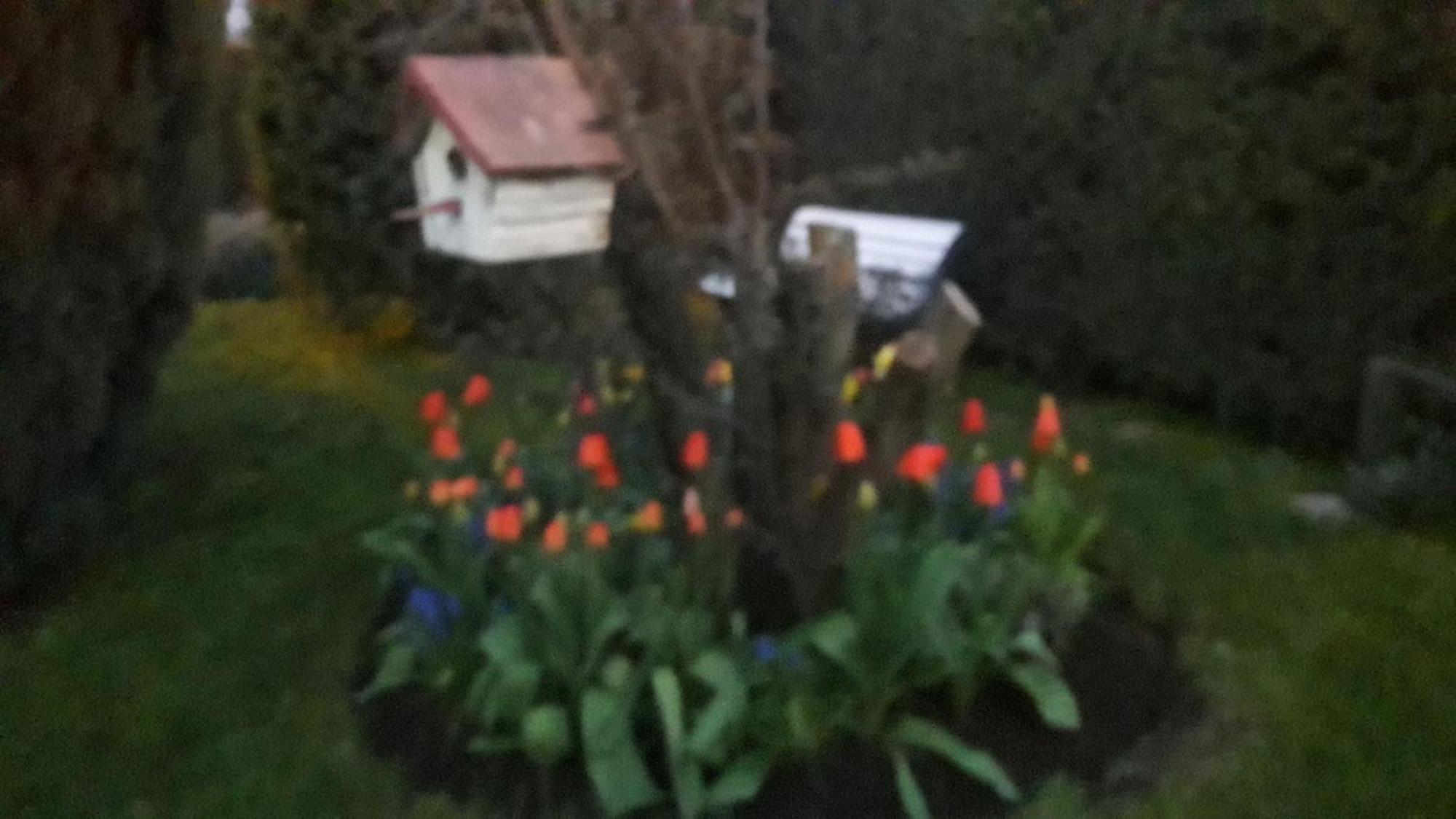 Portal De Andes Bariloche Apartamento *