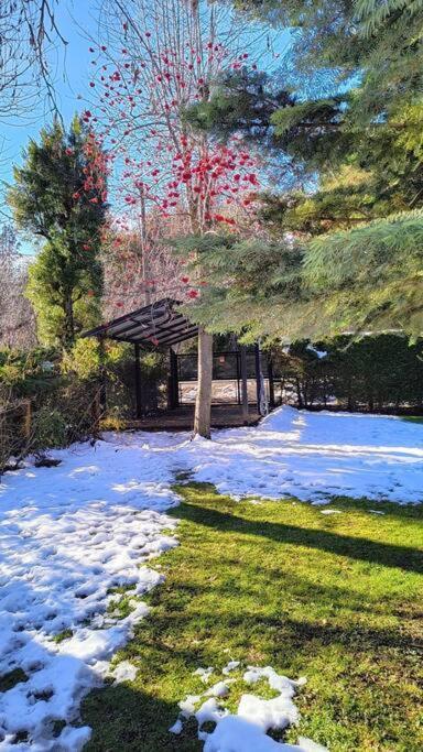 Circuito Chico Hermoso Jardin Apartamento San Carlos de Bariloche