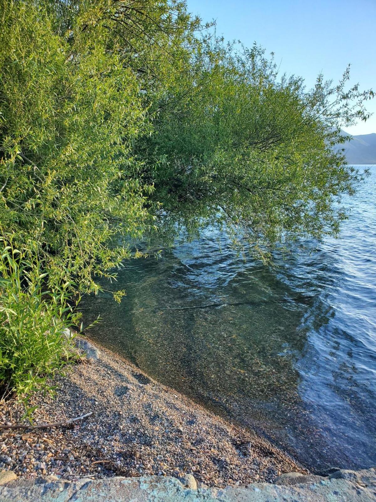 Exclusive Cabin On The Lake * San Carlos de Bariloche