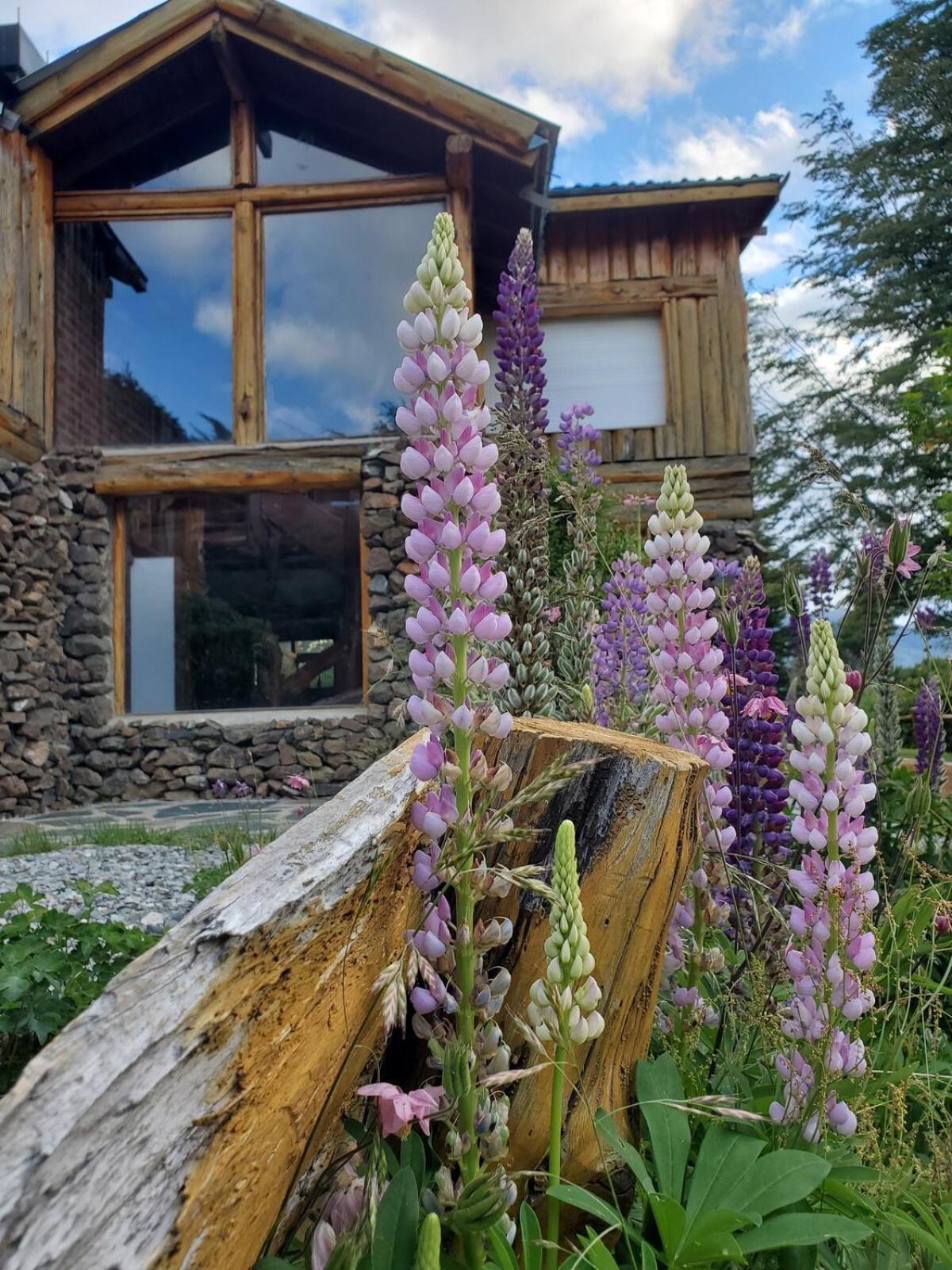Exclusive Cabin On The Lake Сasa de vacaciones