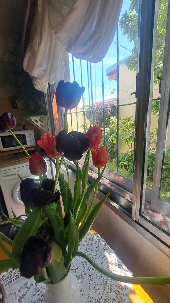 Departamento Familiar Con Asador Parrilla Apartamento San Carlos de Bariloche