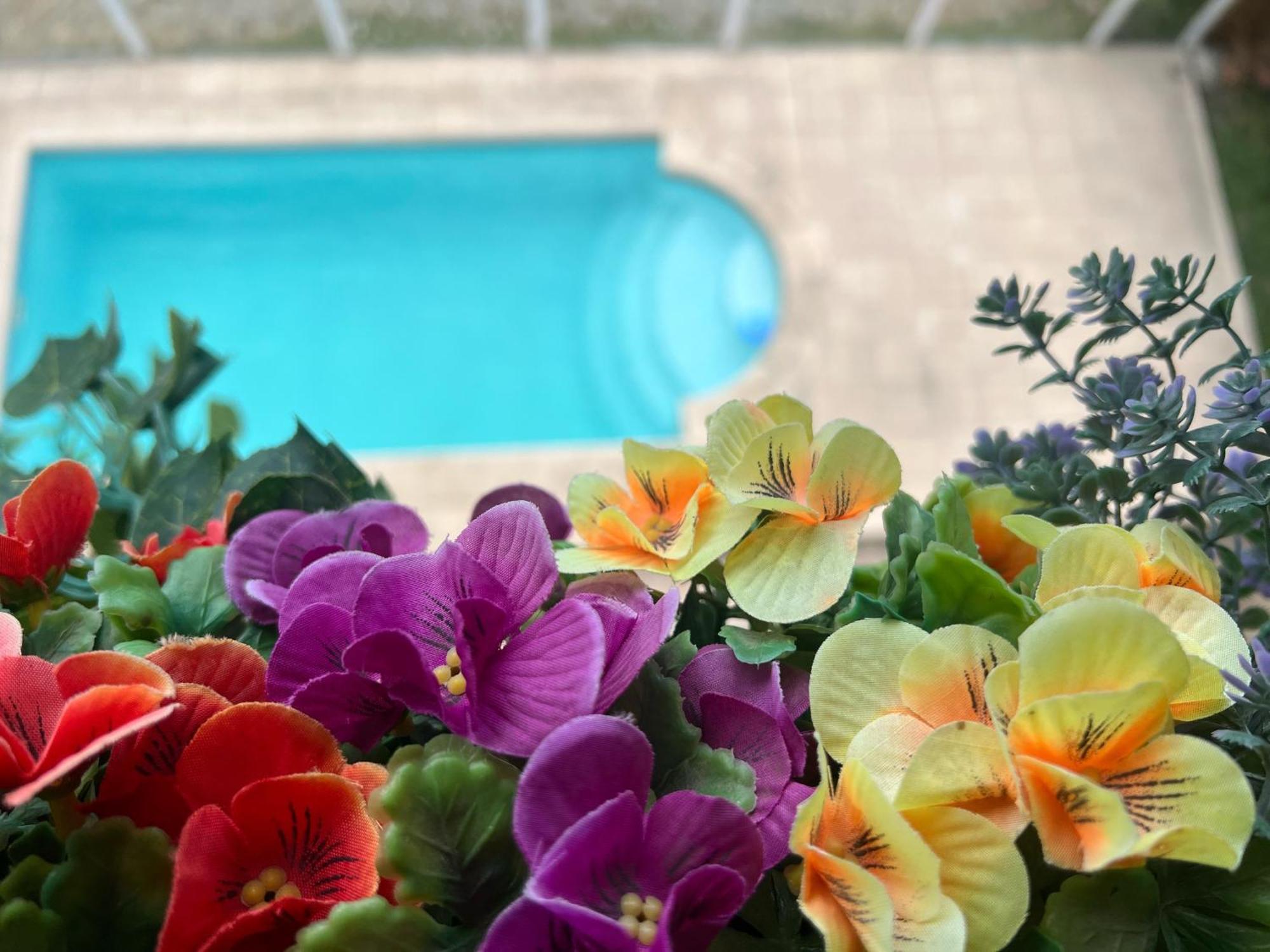 Hotel Le Charme Con Piscina Y Parking 3*