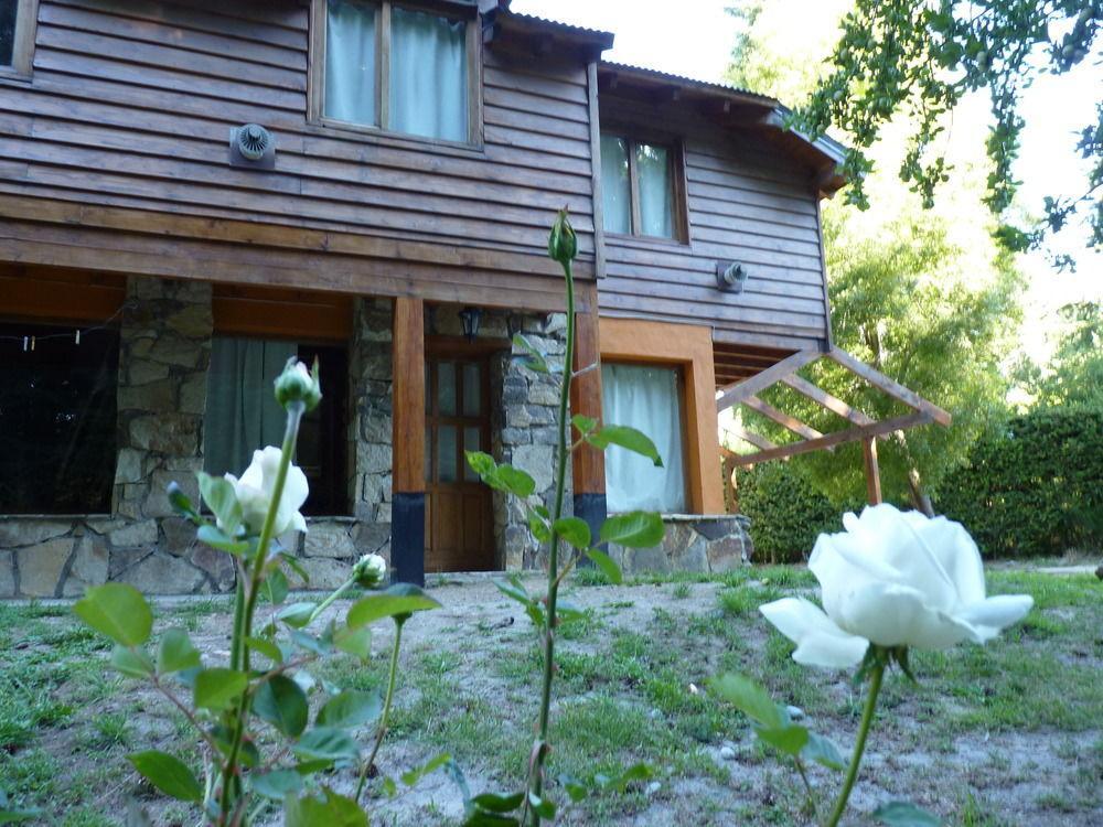 Tinsel's House