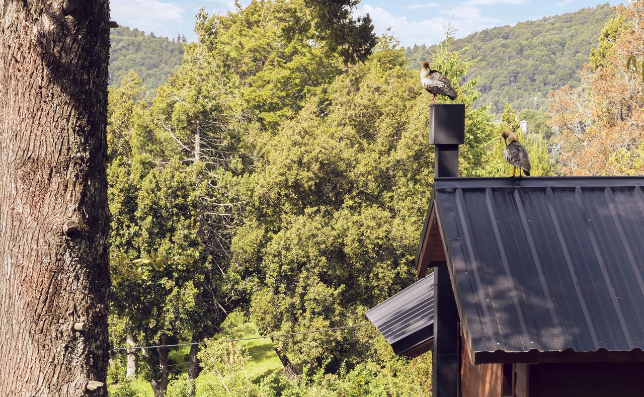 Lodge Bosque Del Nahuel *