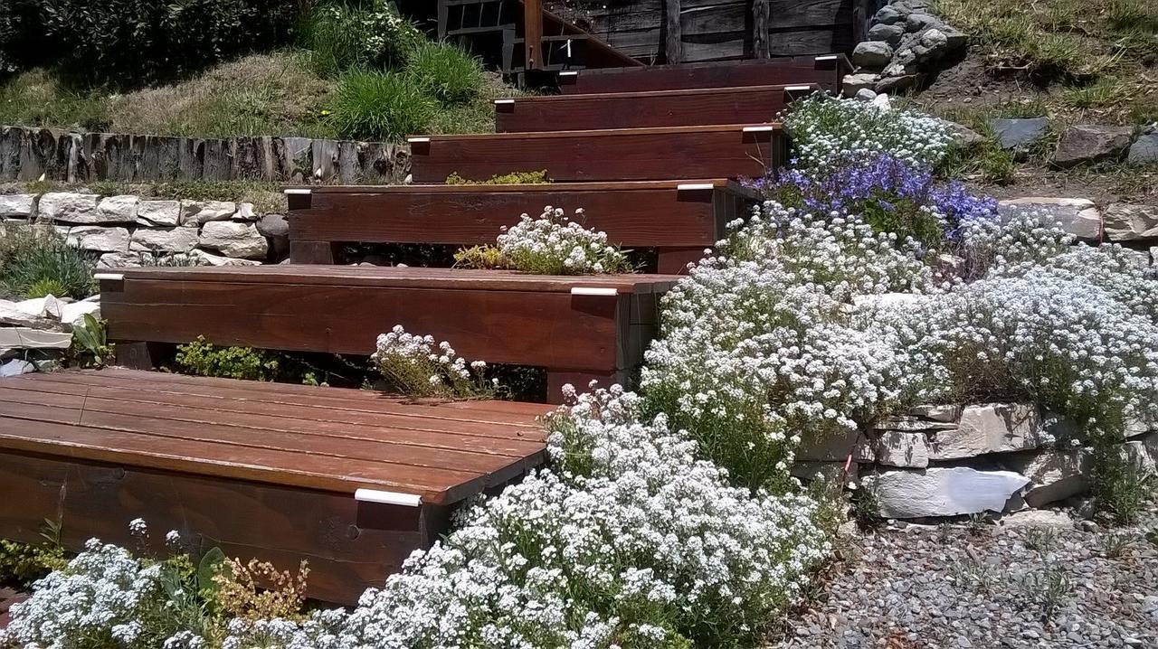 Maria Del Bosque / 3* San Carlos de Bariloche
