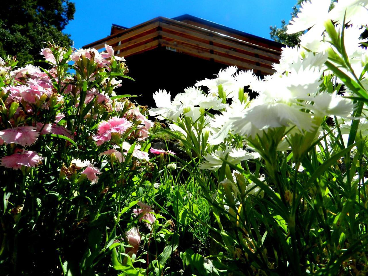 Chalet Casita De Madera *