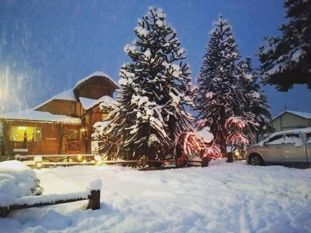 Aparthotel Solar De Araucarias San Carlos de Bariloche
