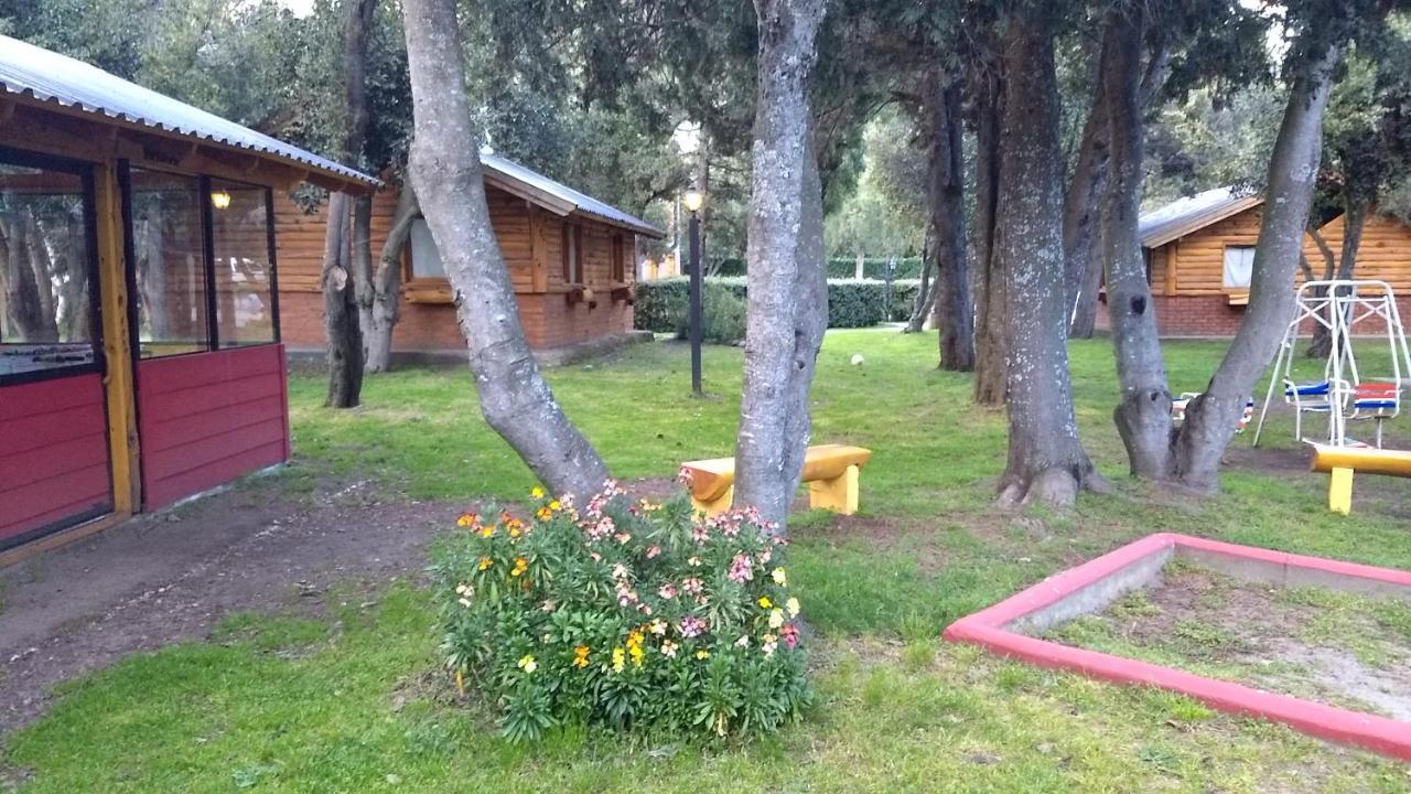 Lodge Cabanas Del Bosque