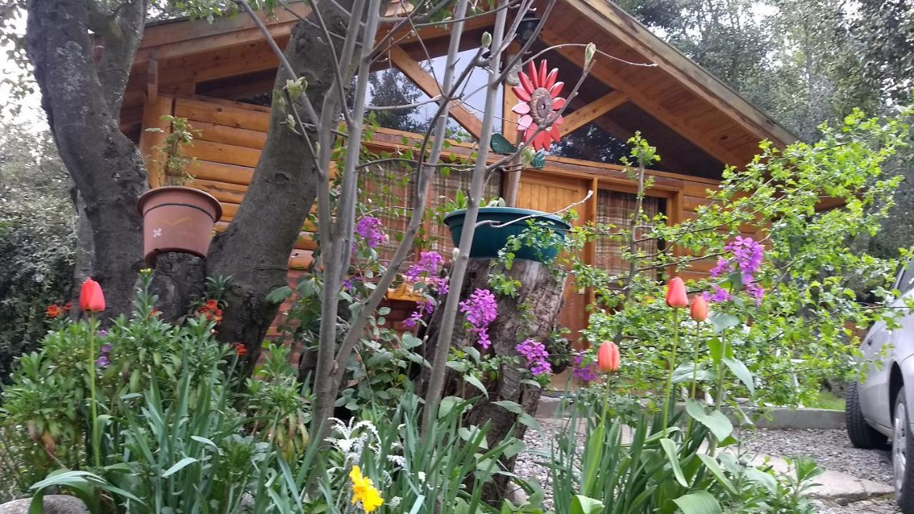 Cabanas Del Bosque San Carlos de Bariloche
