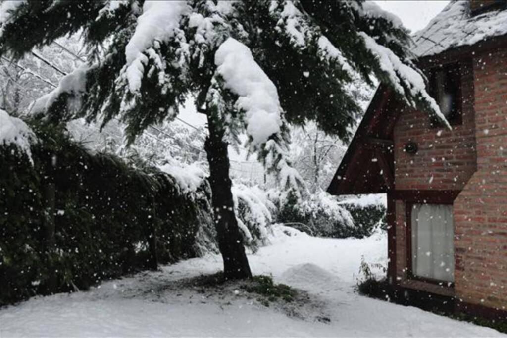 Casa Familiar En El Bosque San Carlos de Bariloche