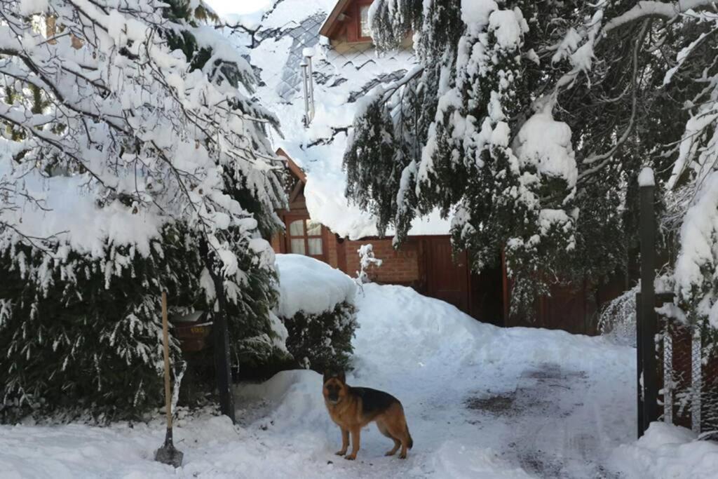 Casa Familiar En El Bosque *