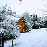 Blue Bird House