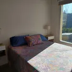 Pehache Bariloche