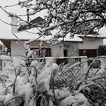 Pampa