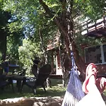 Cabaña Los Cipreses