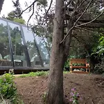 Casa Inmersa En El Bosque