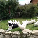 Las Baitas