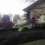 Reina Mariana Bungalows