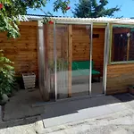 Cabana Rose