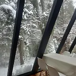 Casa Inmersa En El Bosque