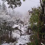 Cabaña petit