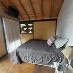 Casita Moderna En El Bosque
