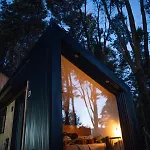 Bosque Cipreses Sur
