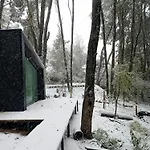 Bosque Cipreses Sur