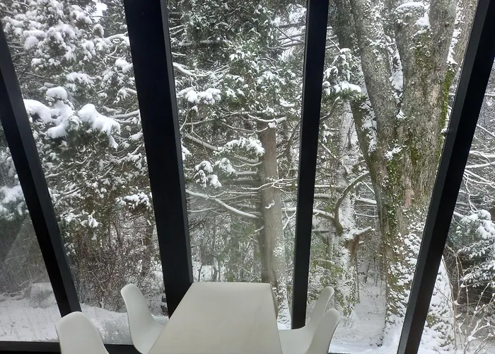 Casa Inmersa En El Bosque