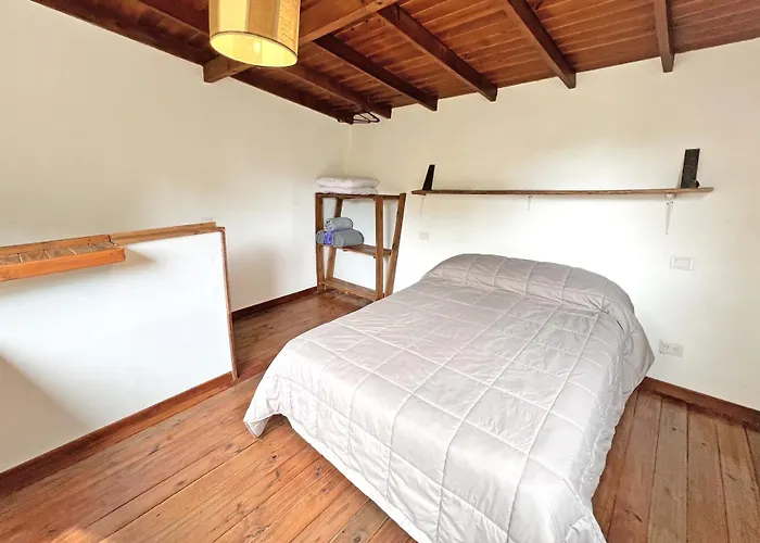 Casa Moderna Entre Coihues