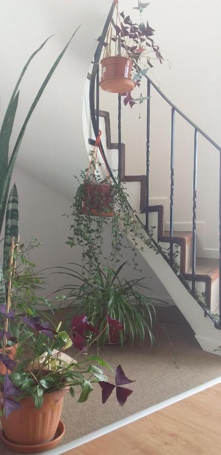 Felices Apartment *