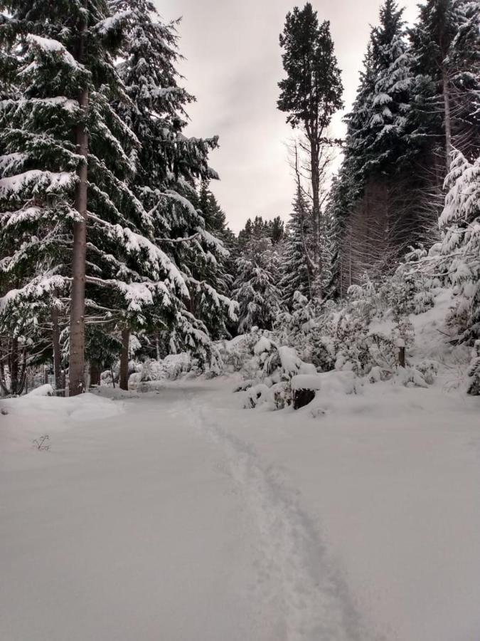 Rincón Del Llao San Carlos de Bariloche