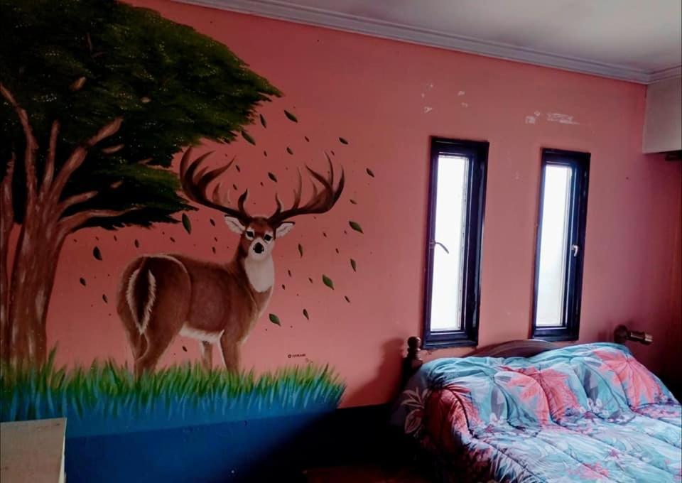 Hostel Ruca Hueney *