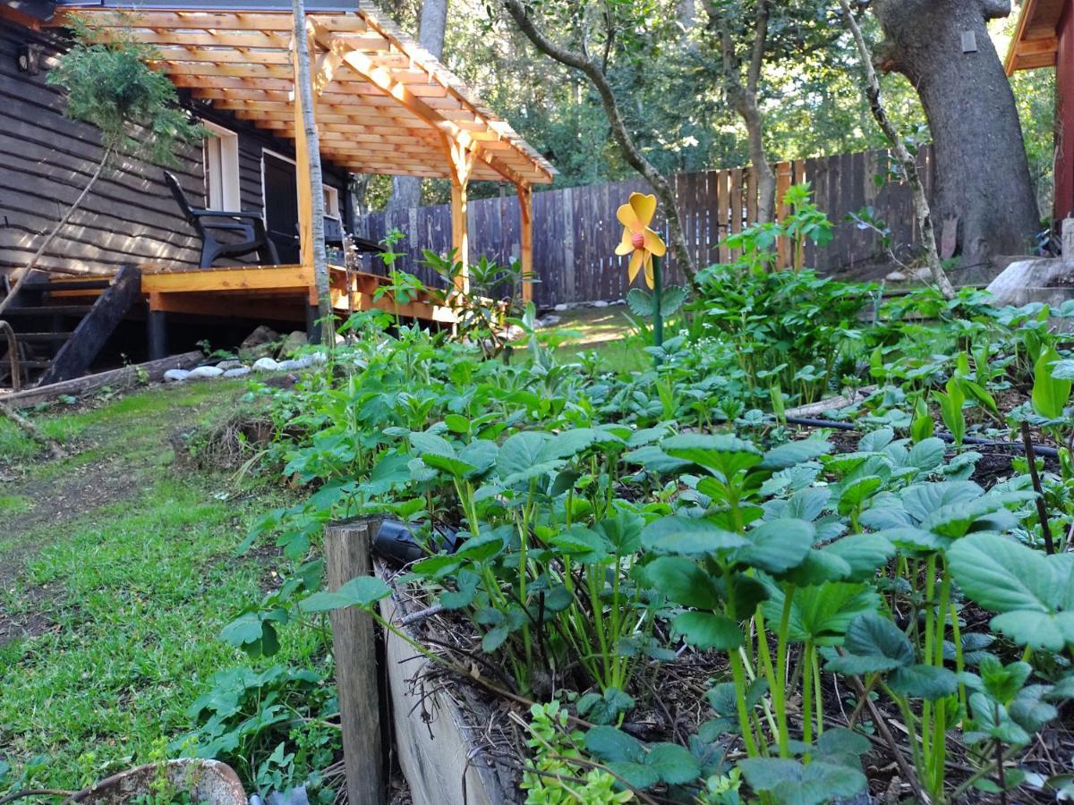 Cabañita Del Bosque Apartamento *