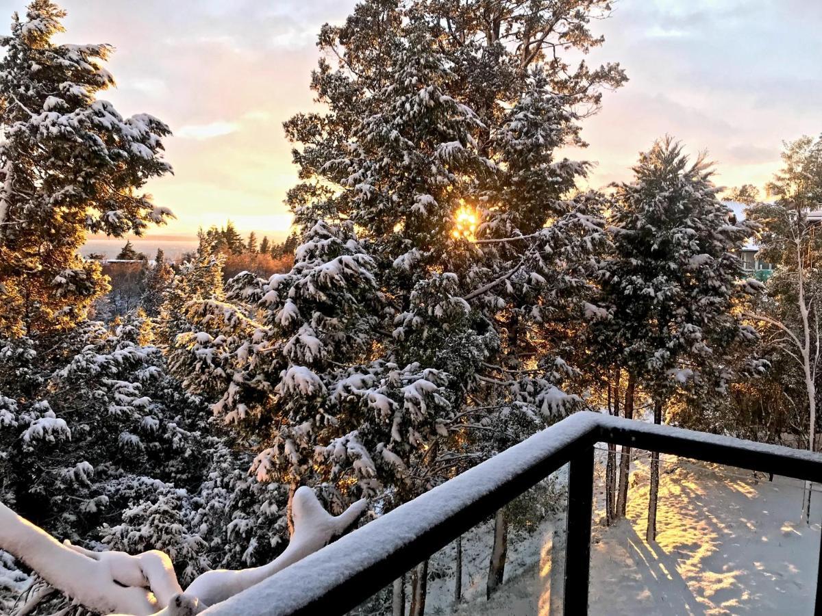Departamento - Vista Y Bosque - San Carlos de Bariloche