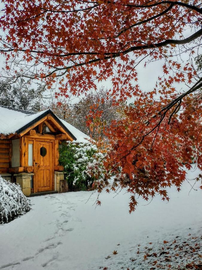 Chalet Blue Bird House *